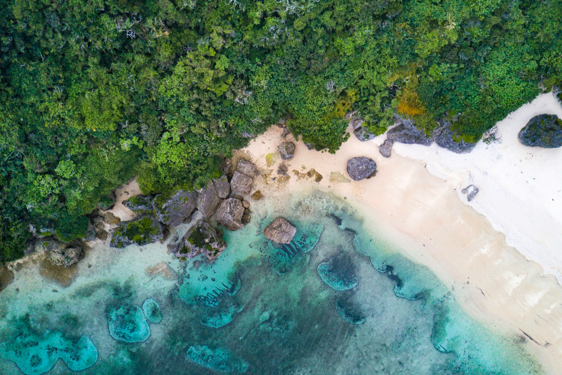 Upplev Okinawa med JR Pass